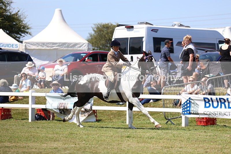 3E7A7877 - Class 7: Open Riding Horse
