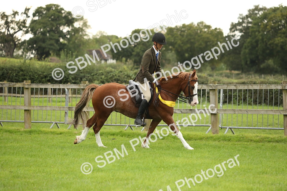 SBM_73886 - S41 - Ridden Equitation (Best Rider)