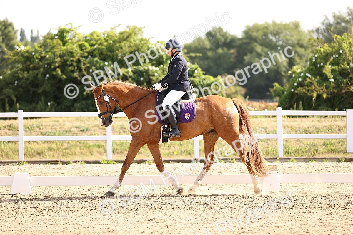 SBM_008587 - Novice 5 - 08.30-9.33