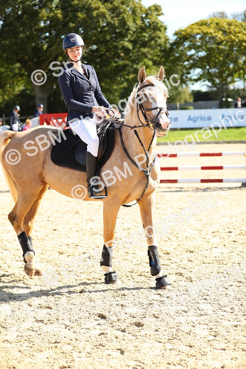 SBM_17825 - J33 - Senior 75cm Championship