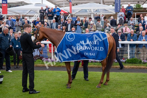150525-See The Fire-5471 - Race 3 3.13pm Al Basti Equiworld Dubai Middleton Fillies' Stakes