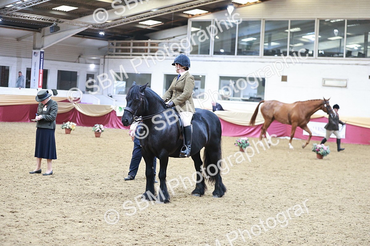 SBM_09028 - Class 12R - Regional Ridden Pre-Vet
