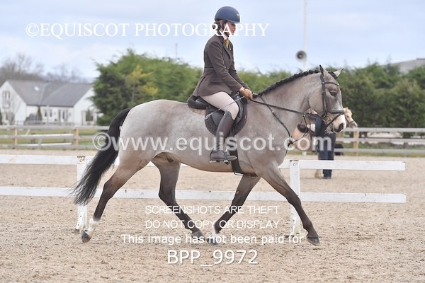 BPP_9972 - 60CM