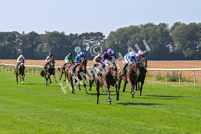 300824-Race 1-Tuscan Hills-5594 - Race 1