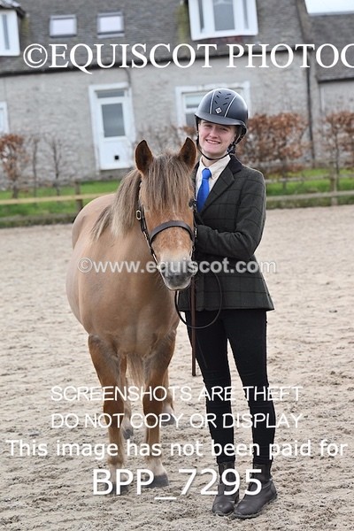 BPP_7295 - RING 1  (RIDDEN HORSES / IN HAND / VETERAN ETC)