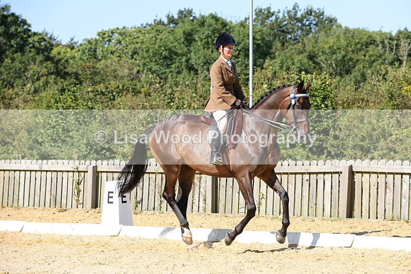 1X9A7905 - Class 10:Riding Horse