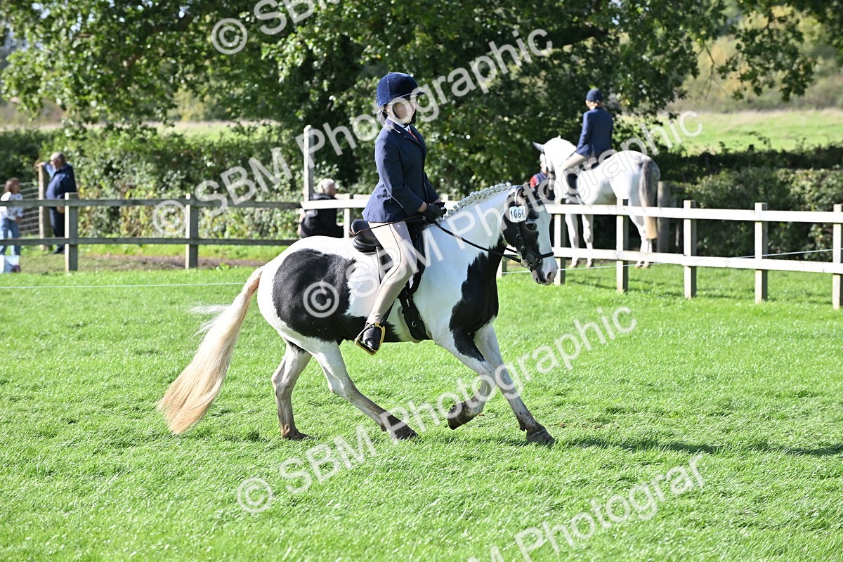 SBM_50317 - S21 - Novice & Newcomers First Ridden