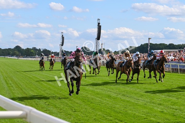 280625-Race 7-Titian-1295 - Race 7 5.25pm Al Basti Equiworld Dubai Amateur Jockeys' Handicap