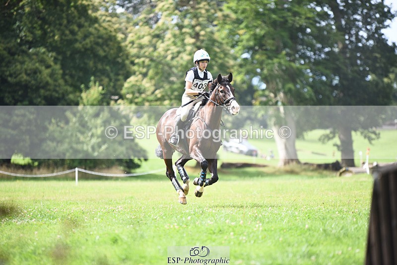 240804-103521-10788 - 403-Alana_Harries-THE_KNIGHT