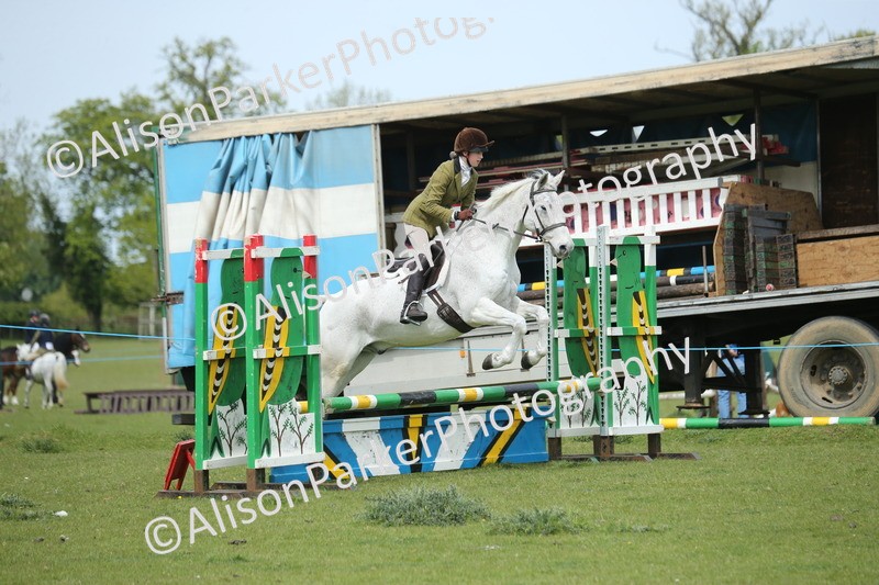 20260426-2060 - Class 15 - Absolute Novice 70cm