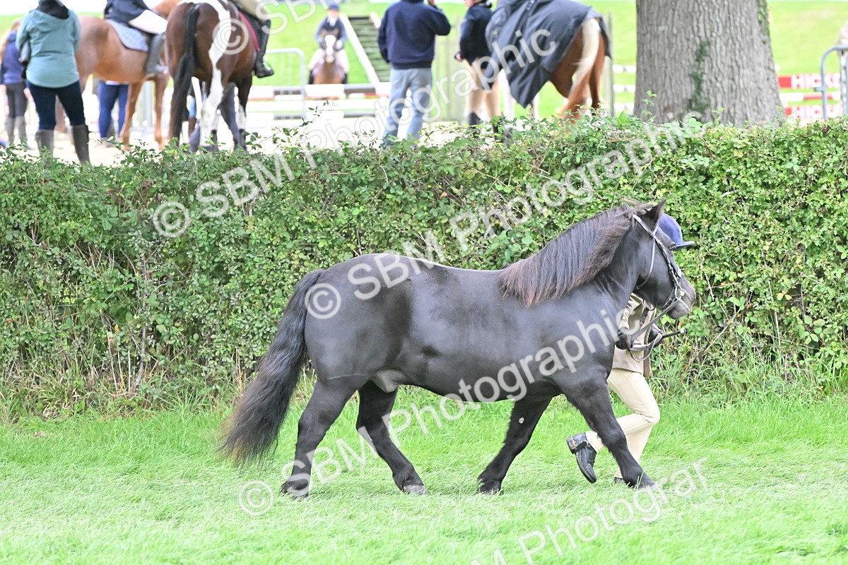 SBM_66785 - S41 - Junior Handler 8 Years & Under