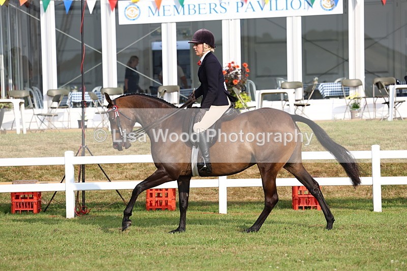 3E7A7716 - Class 1: Rising Star Small Hack/Riding Horses
