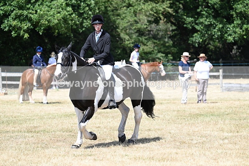 WJ7_3438 - Class 8 Ridden Veterans