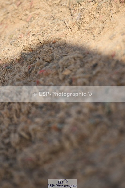 230915A-104442-00203 - Cls 9 British Novice & 90cm Open