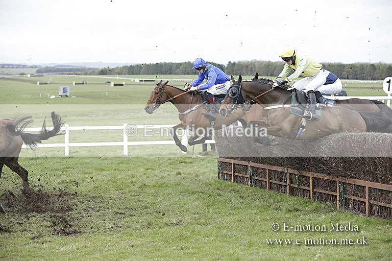 PtP 150320 0678 - New Forest Point-to-Point Larkhill 15/03/20