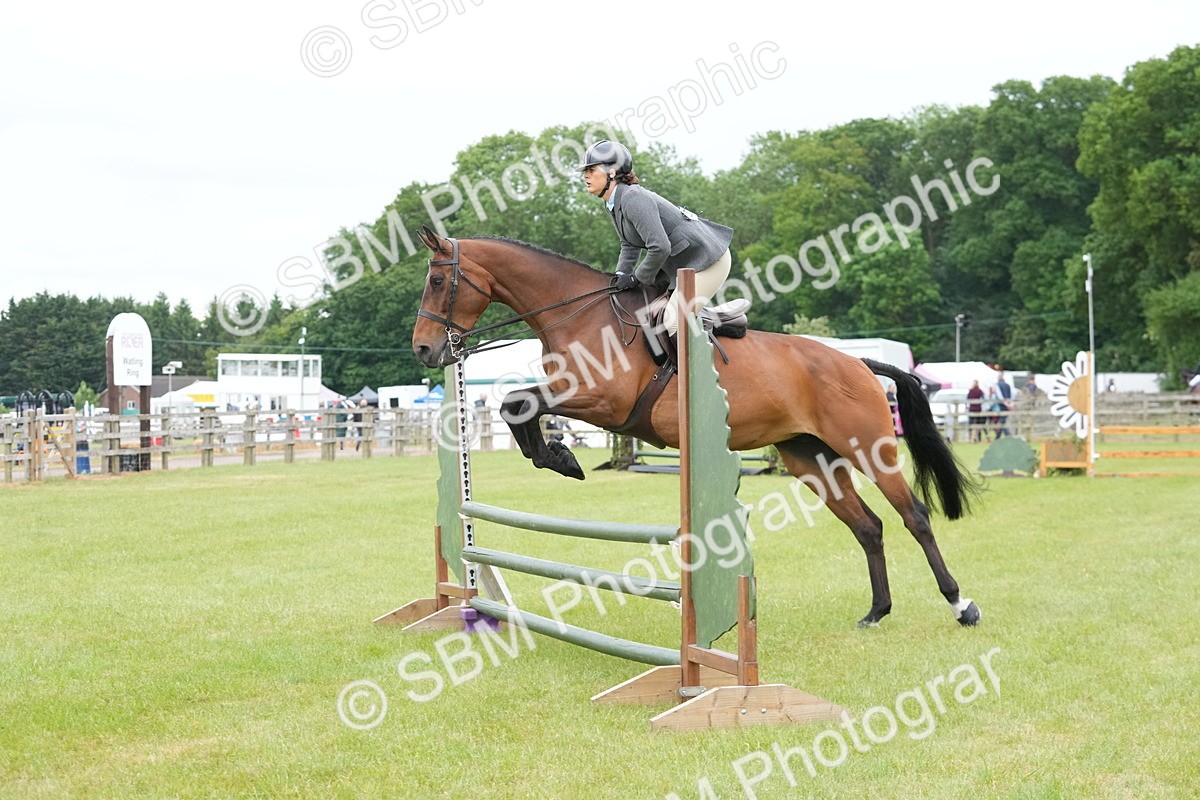 SBM_12620 - Class 97-98 - LIHS BSHA Rising Star Working Show Horse Hunter