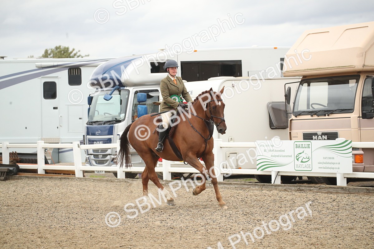SBM_18346 - Class 509a - Working Veteran - 80cm (15-19)
