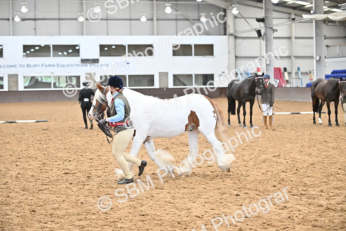 SBM_000787 - Class 16 - In Hand Showing Supreme Championships