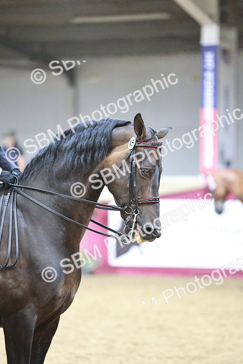 SBM_03353 - Class 6A Area Ridden Pre-Vet