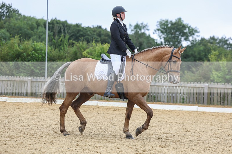 3E7A5044 - Class 2: Intro 4 2024 section B