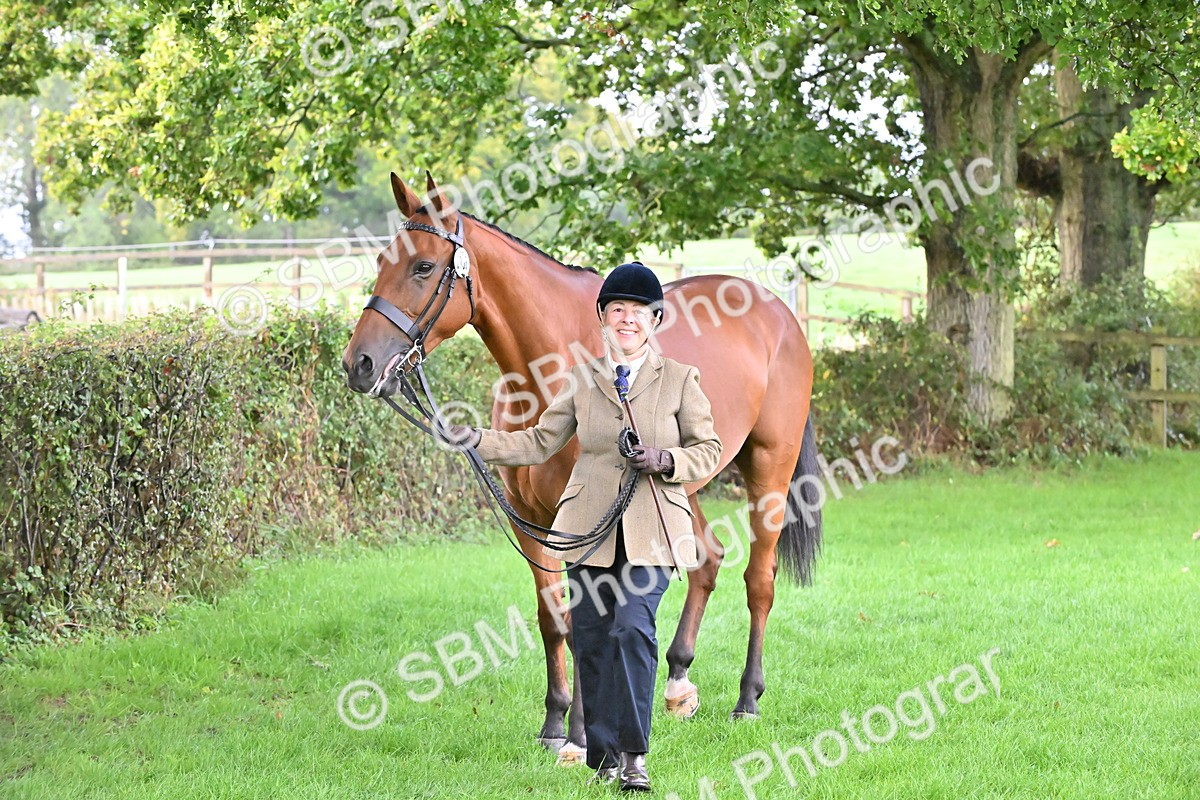 SBM_32650 - S15 - Top Turnout In Hand
