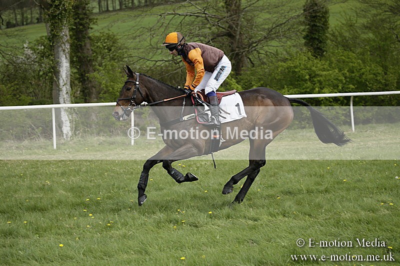 PtP 170417 151 - Old Berks Point-to-Point Lockinge 17/04/17