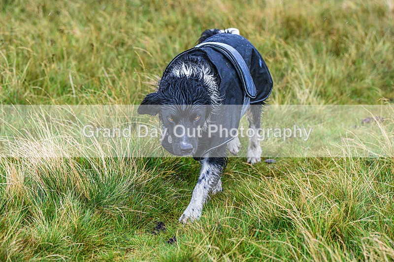 Matterdale-607 - Kong Matterdale Horseshoe Fell Race Saturday 20th August 2022