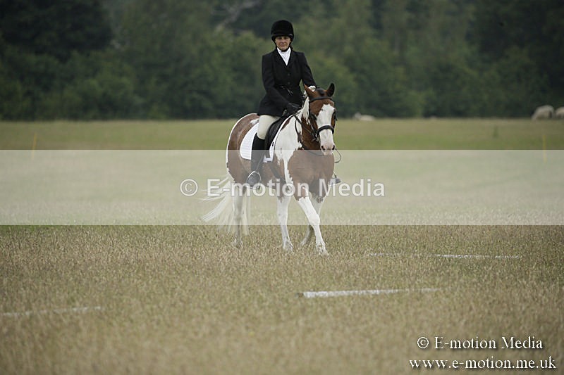 B230619-0214 - Bourne Valley Riding Club Summer Show 23/06/19