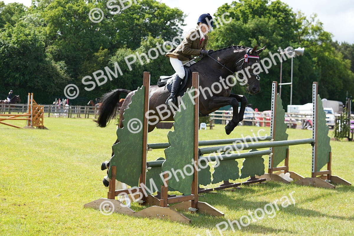 SBM_12889 - Class 99 - RIHS SEIB Working Show Horse