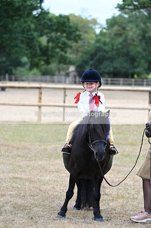 WJ7_8603 - Class 4 Prettiest Mare up to 14.2hh