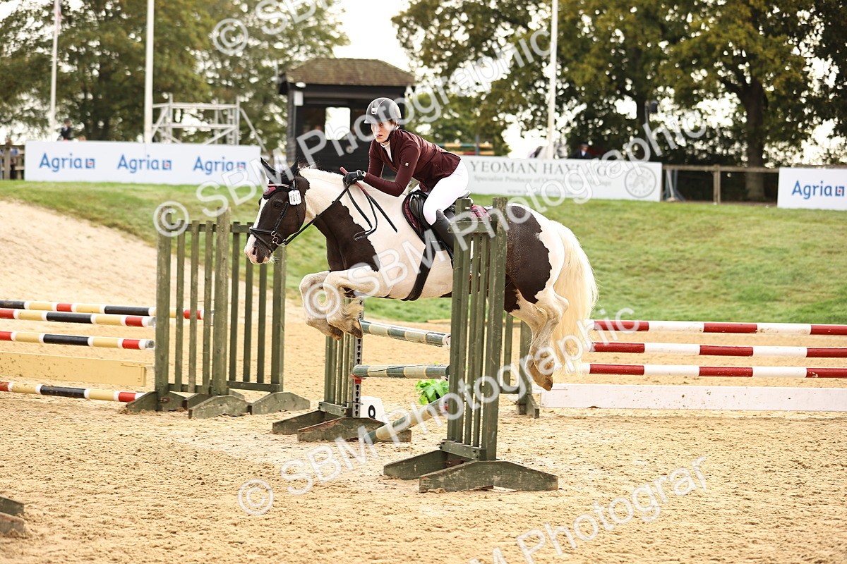 SBM_58219 - J41 - Grand Tour Horse & Pony 95cm