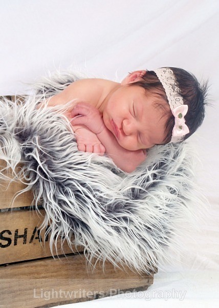 Buckle 37 - Baby Harper