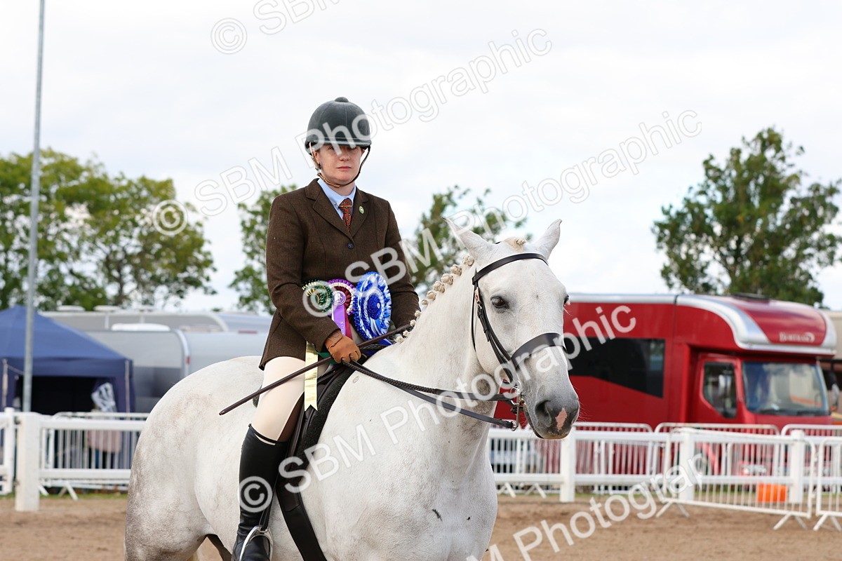 SBM_13584 - Class 212 - Ridden Hunter  - Large