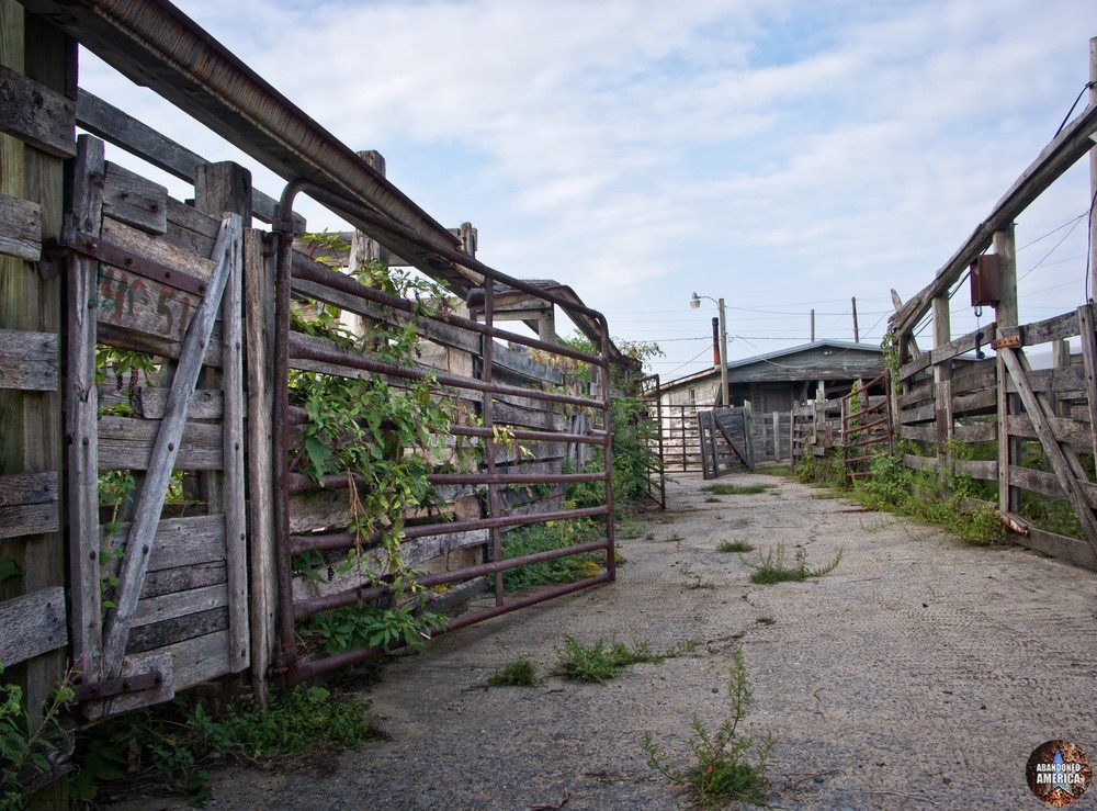 The Lancaster Stockyards | Endless - Lancaster Stockyard