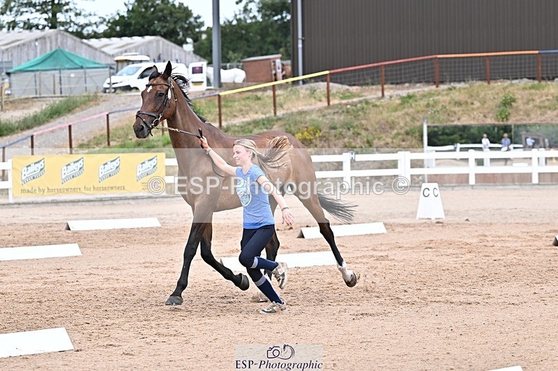 250716-133723-00600 - Trot Up 1.30 to 2.30