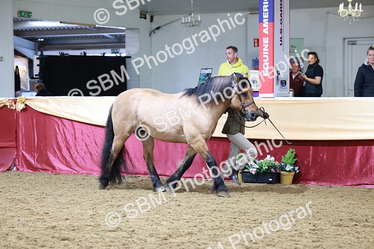 SBM_20005 - Class B - Junior Champ 11yr to 16 Years