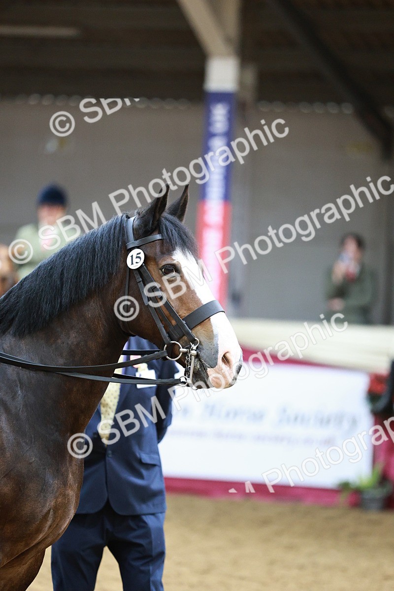 SBM_03594 - Class 6A Area Ridden Pre-Vet