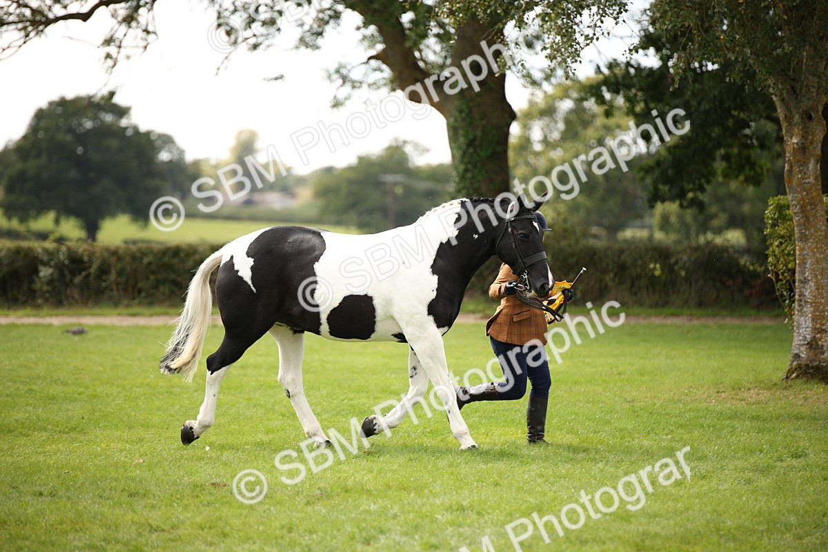 SBM_44535 - S24 - Young Veteran in hand