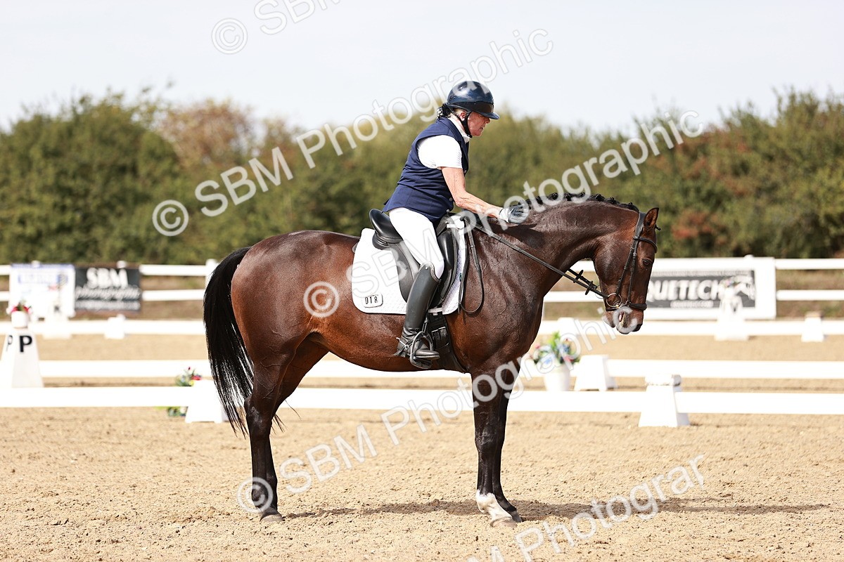 SBM_006231