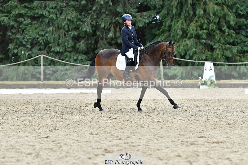 260801A-125221-04081 - Prelim Bronze Break - End