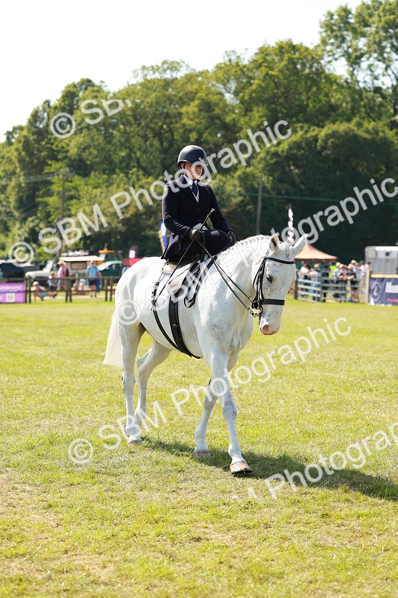 SBM_13192 - Class 70-71 - Side Saddle