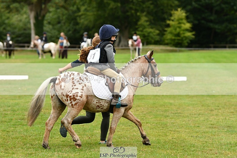 250820A-111305-04944 - 11am to 12