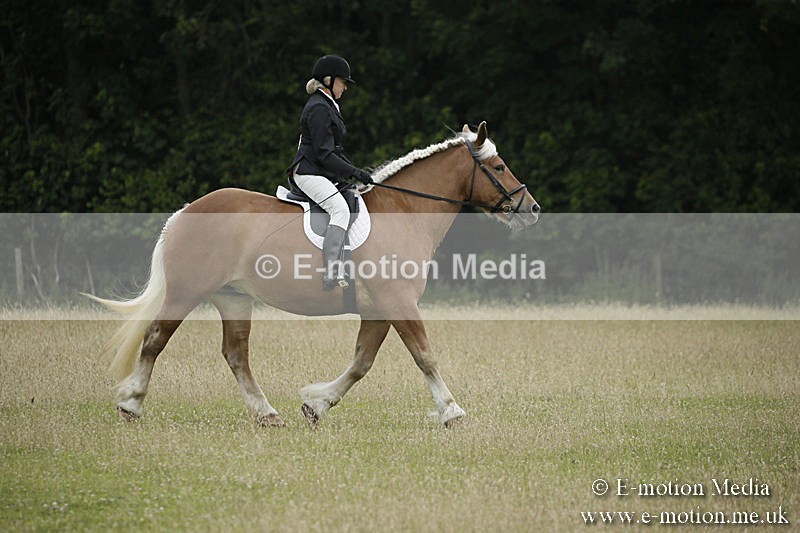 B230619-0007 - Bourne Valley Riding Club Summer Show 23/06/19