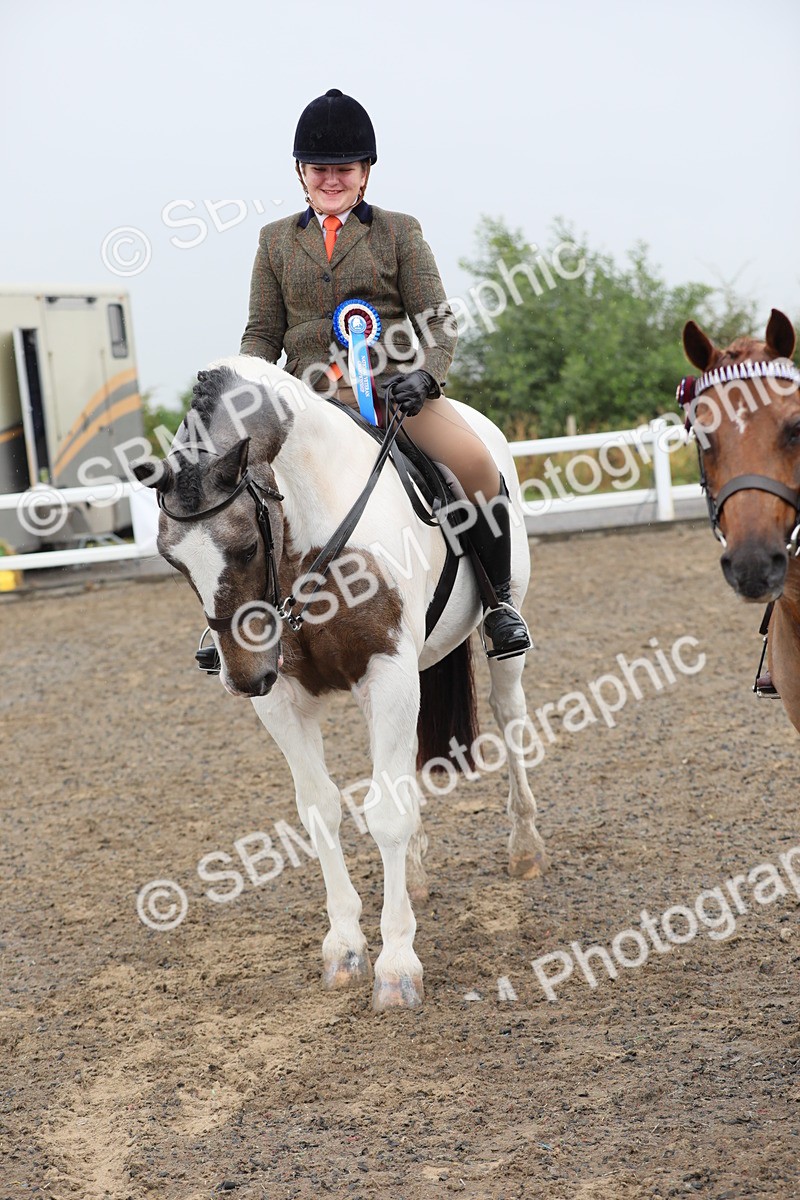 SBM_20637 - Class 804 - Ridden Veteran Pony