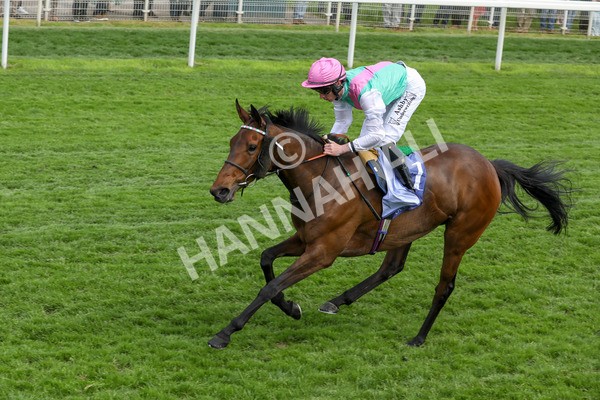 160524-Race 3-Bluestocking-1840 - Race 3 3.15pm  Al Basti Equiworld Dubai Middleton Fillies' Stakes