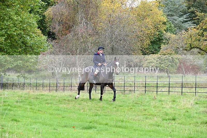 WJ6_0086 - Camera 2 Meet