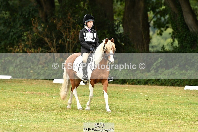 250820A-115008-05323 - 11am to 12