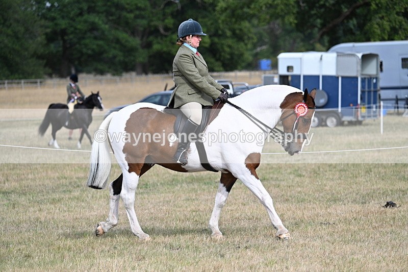 WJ7_7572 - Ridden Championship