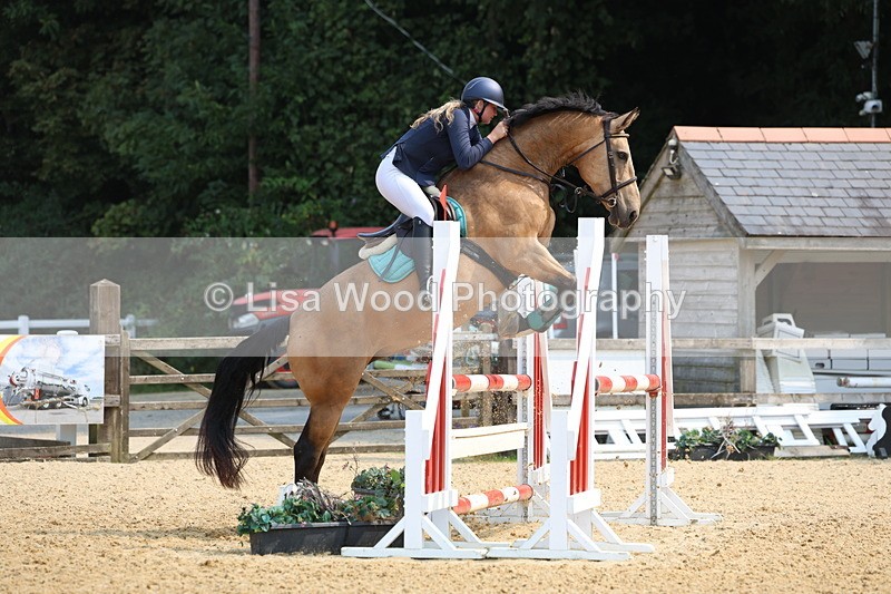 3E7A1180 - Class 4: Senior British Novice/90cm open