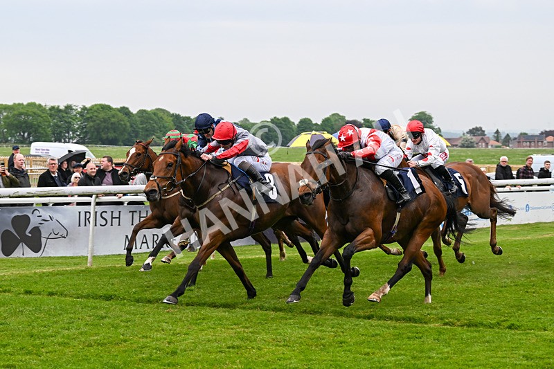 140524-Race 4-Bella Kopella-2055 - Race 4